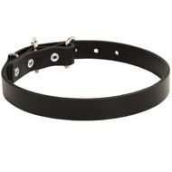 Dog Leather Dog Collar 1 inch Wide