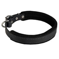 Padded Leather Dog Collar 25 mm for Dog Training