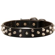 Fancy Design Leather Dog Collar with Nickel Pyramids