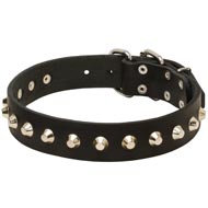 Gorgeous Wide Leather Dog Collar - Fashion Exclusive Design