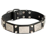 Leather Dog Collar Decorated with Nickel Cones and Plates