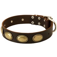 Designer Leather Dog Collar with Oval Plates