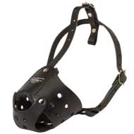Everyday Leather Dog Muzzle for Training