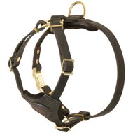 Spruce Leather Dog Harness With Small Chest Plate