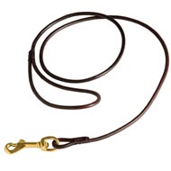 Fully Beneficial Show Leather Dog Leash - Comfort for You and Your Dog