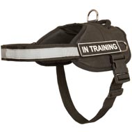 Nylon Dog Harness with Reflective Strap for Training, Walking, Police Service, SAR and More