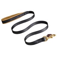 No Rubbing Nylon Dog Leash with Support Leather Material on the Handle