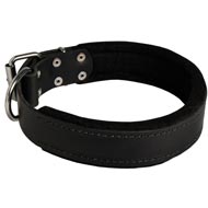 Dog Durable Padded Leather Collar 40 mm
