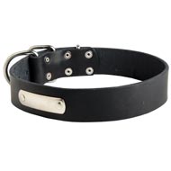 Classic Leather Dog Collar with Identification Tag