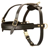 Leather Dog Harness for Tracking and Pulling