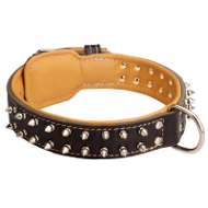 Spiked Dog Collar Padded with Nappa Leather
