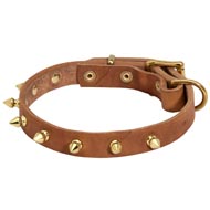 Walking Designer Leather Dog Collar with Brass Spikes