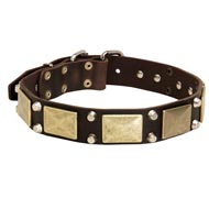 Leather Dog Collar with Studs and Plates