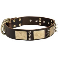 Designer War-Style Leather Dog Collar with Spikes and Plates