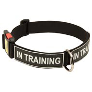 All Weather Nylon Dog Collar with ID Patches