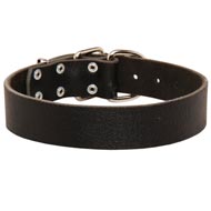 Wide Leather Dog Collar for Training and Walking