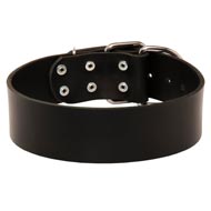 Extra Wide Leather Dog Collar for Professional Training