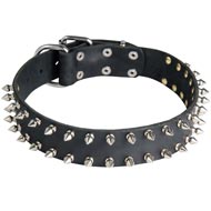 Leather Dog Collar with 2 Rows of Nickel Spikes
