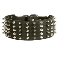 Dog Leather Collar Spiked and Studded