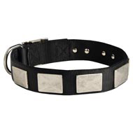 Nylon Dog Collar Massive Nickel Plates
