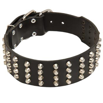 2 Inches Leather   Dog Collar Extra Wide Studded