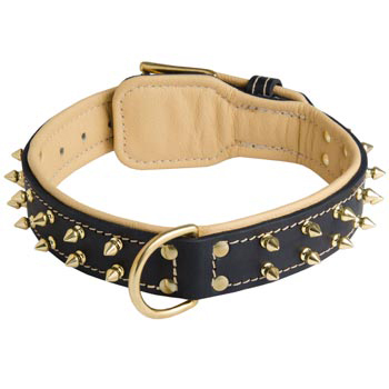 Leather Dog Collar Spiked Padded with Nappa Leather Adjustable 