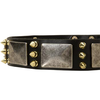 Stylish Leather Dog Collar for Dog