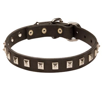 Dog Walking   Leather Collar with Studs