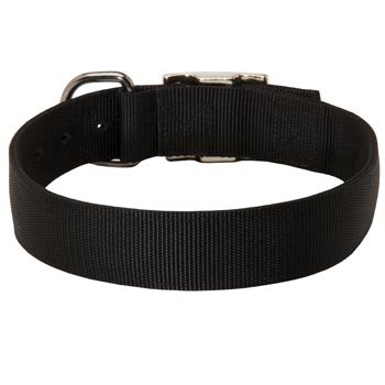 Nylon Collar for Dog Comfy Training