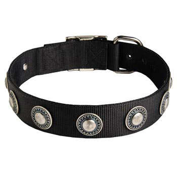 Dog Dog Nylon Collar Awesome Design