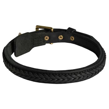 Braided Leather Collar for Dog
