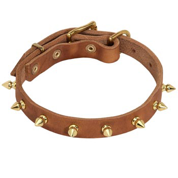 Designer Leather Collar for Dog