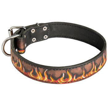 Leather Dog Collar Designer for Dog Walking and Training