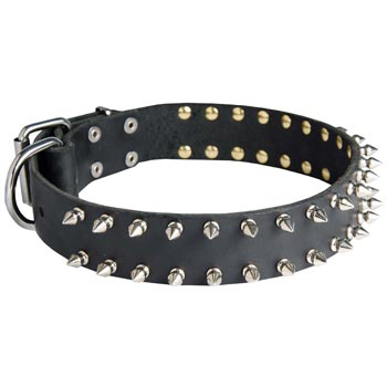 Spiked Leather Collar for Dog