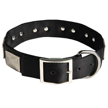 Designer Nylon Dog Collar Wide with Easy Release Buckle for   Dog