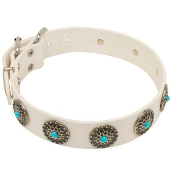 Leather Dog Collar White Exclusive for   Dog Walking