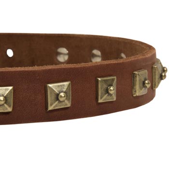 Dog Leather Collar With Square  Studs
