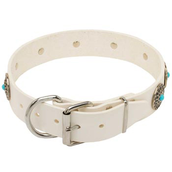 Leather   Dog Collar White Fancy for Dog Training, Walking