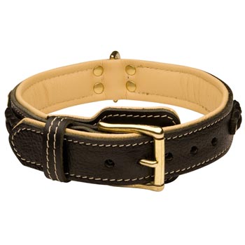Dog Decorated  Leather Dog Collar