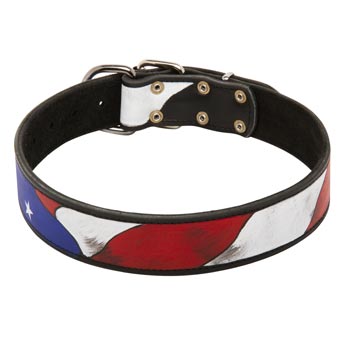 Training Dog Leather Colored Handcrafted  