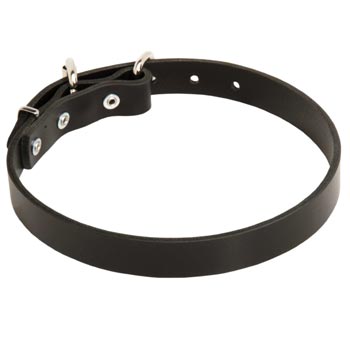 Leather Dog Collar for Dog Training