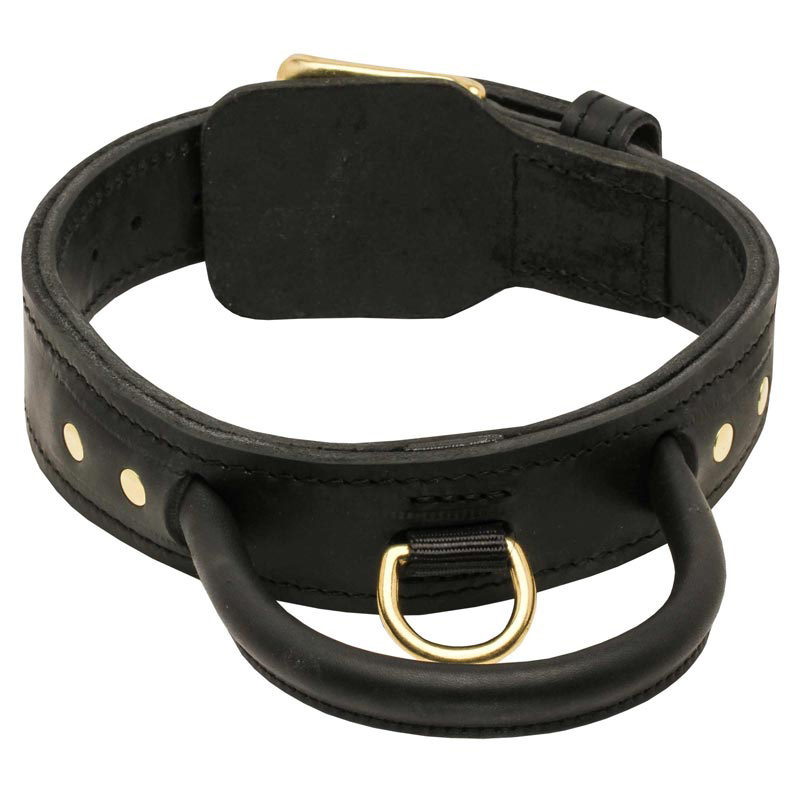 dog harness with grab handle