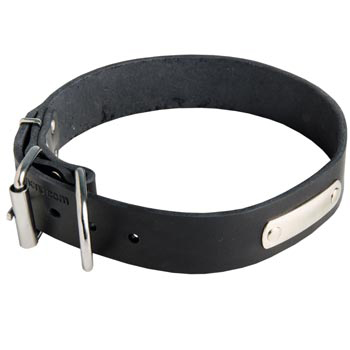 Leather Dog Collar for Identification