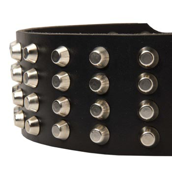 Leather Dog Collar with Studs for   Dog