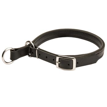 Dog Obedience Training Choke  Leather Collar