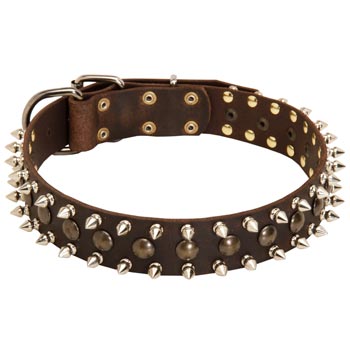 Dog Leather Collar with Stylish Decoration