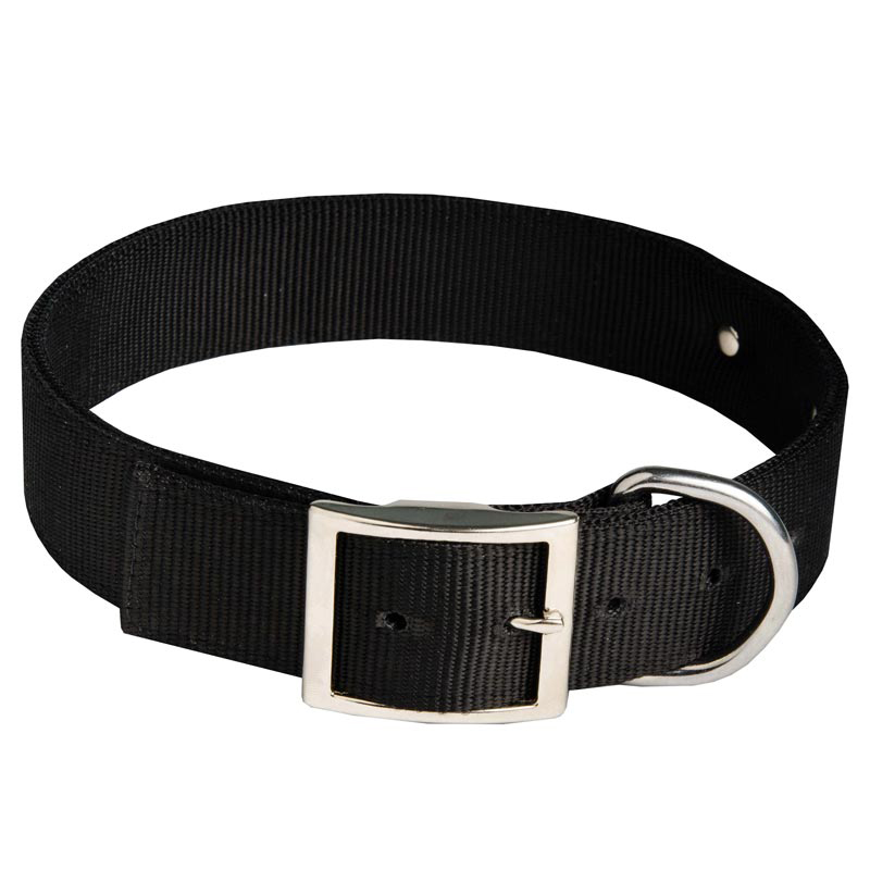 All Weather Nylon Dog Collar with ID Patches [C48##1037 Nylon Collar] :  Exclusive Dog Breed: Dog Harness, Muzzle, Collar, Leash, Dog Supplies