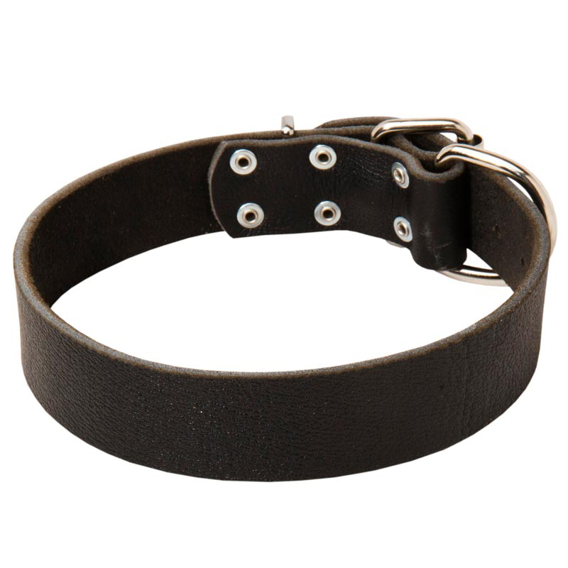 simple dog collar