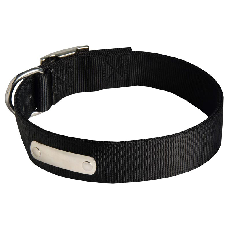 All Weather Nylon Dog Collar with ID Patches [C48##1037 Nylon Collar] :  Exclusive Dog Breed: Dog Harness, Muzzle, Collar, Leash, Dog Supplies