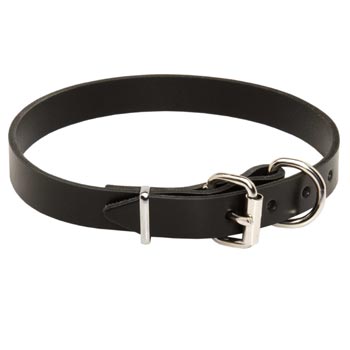 Dog Leather Dog Collar For Everyday Training
